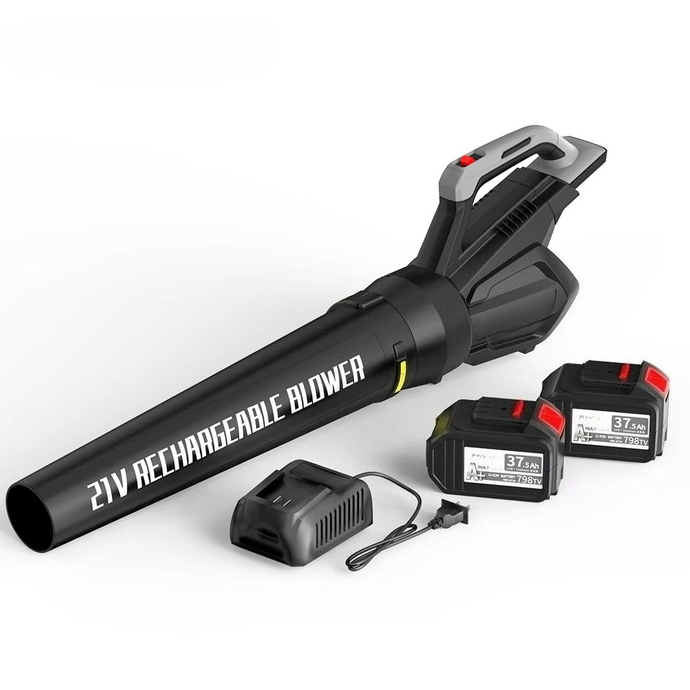 Cordless Leaf Blower with Batt - Leaf Blower Cordless review and price
