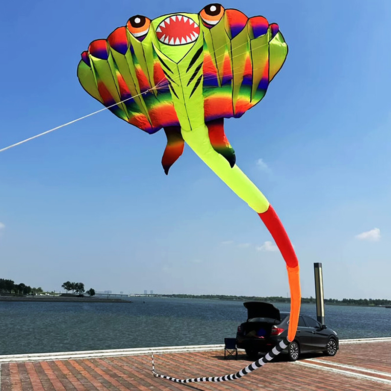 3D 12.5M 2-color Ray Soft Kite - Outdoor Power Reel review and price