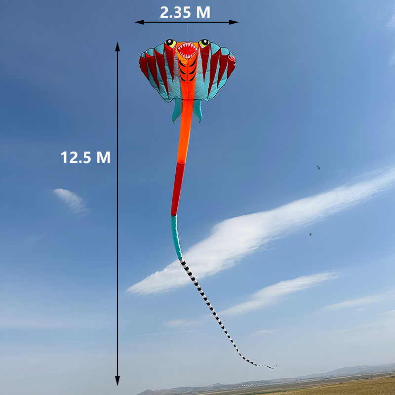 3D 12.5M 2-color Ray Soft Kite - Outdoor Power Reel review and price