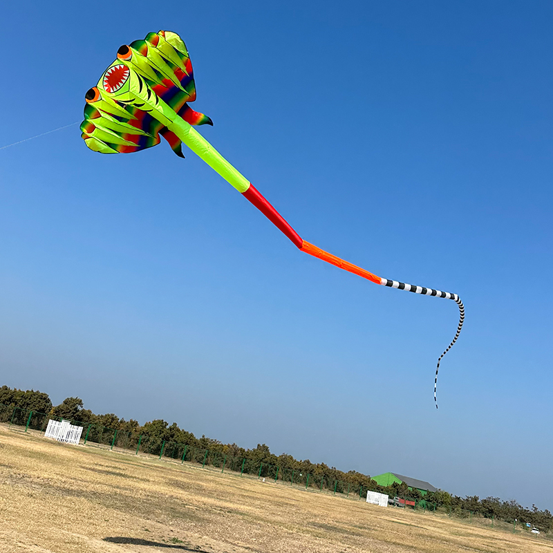 3D 12.5M 2-color Ray Soft Kite - Outdoor Power Reel review and price